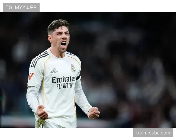 居莱尔在皇马出场机会少的原因分析